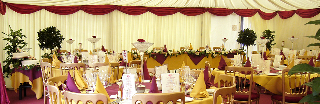 banner-7.jpg